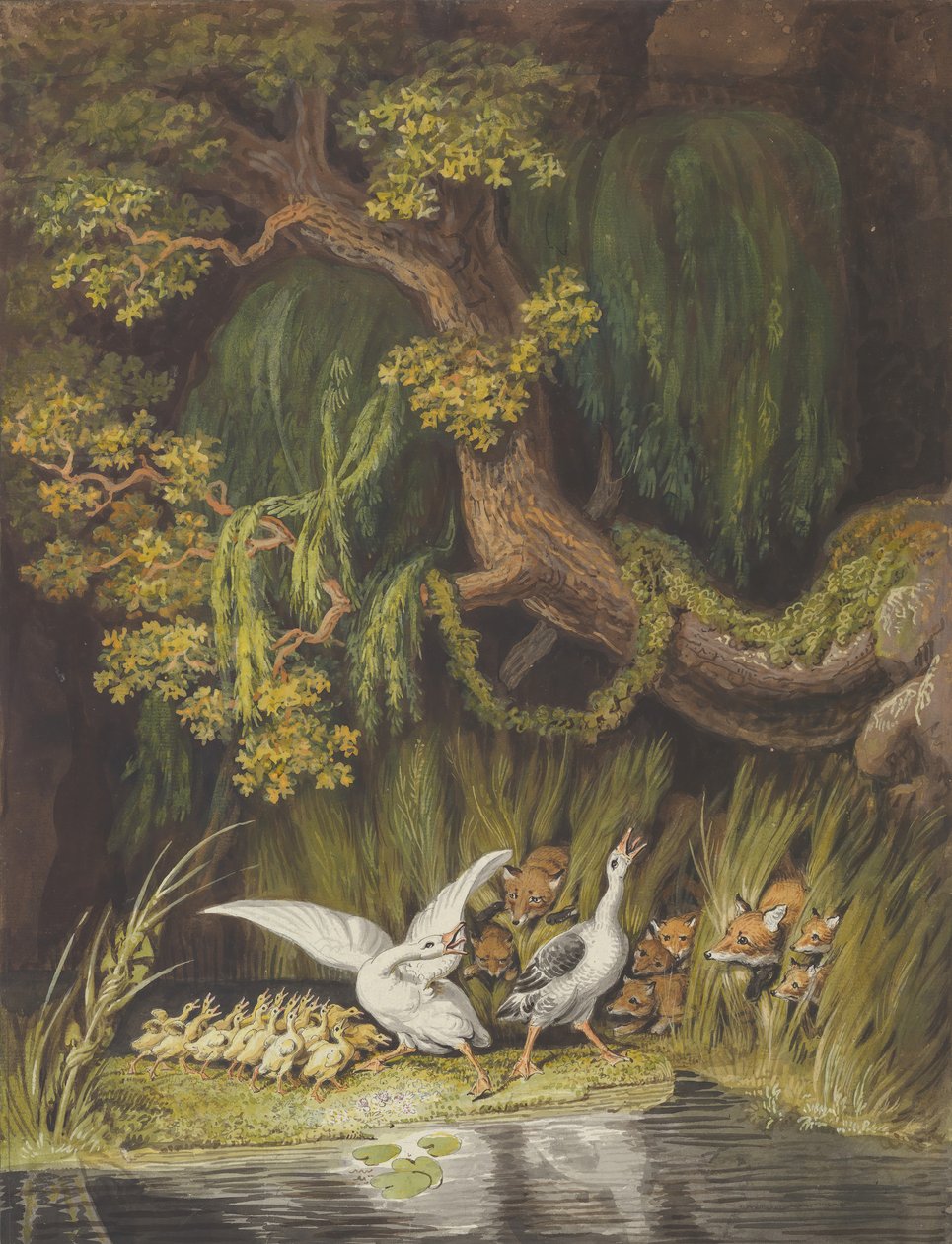 En gås og en gander med gåsungene sine som tuter i alarm som to rever..., midten av 1700-begynnelsen av 1800-tallet. av Johann Heinrich Wilhelm Tischbein