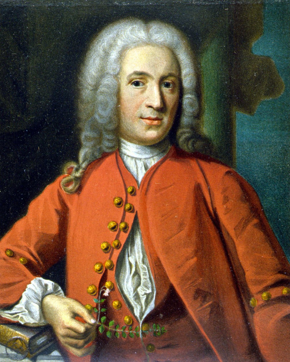 Carl Von Linné svensk naturforsker og forfatter (1707 - 1778) - av J. H. Scheffel, i ""Portrett av Linné"" av Tycho Tullberg av Johann Henrik Scheffel