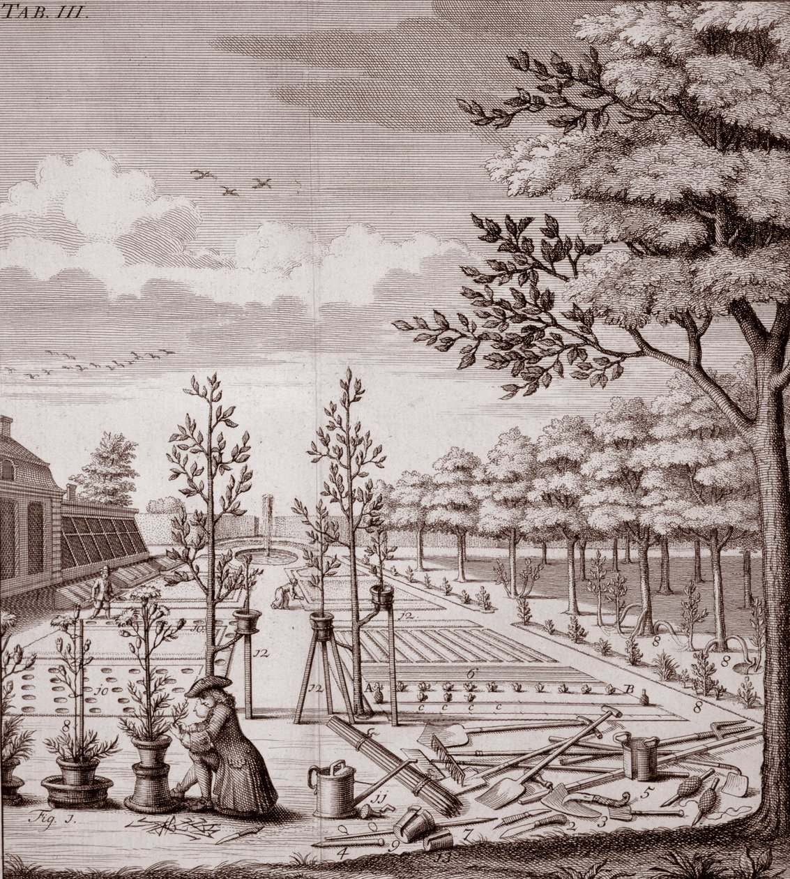 Illustrasjon av en hagescene, 1753 av Johann Hermann Knoop