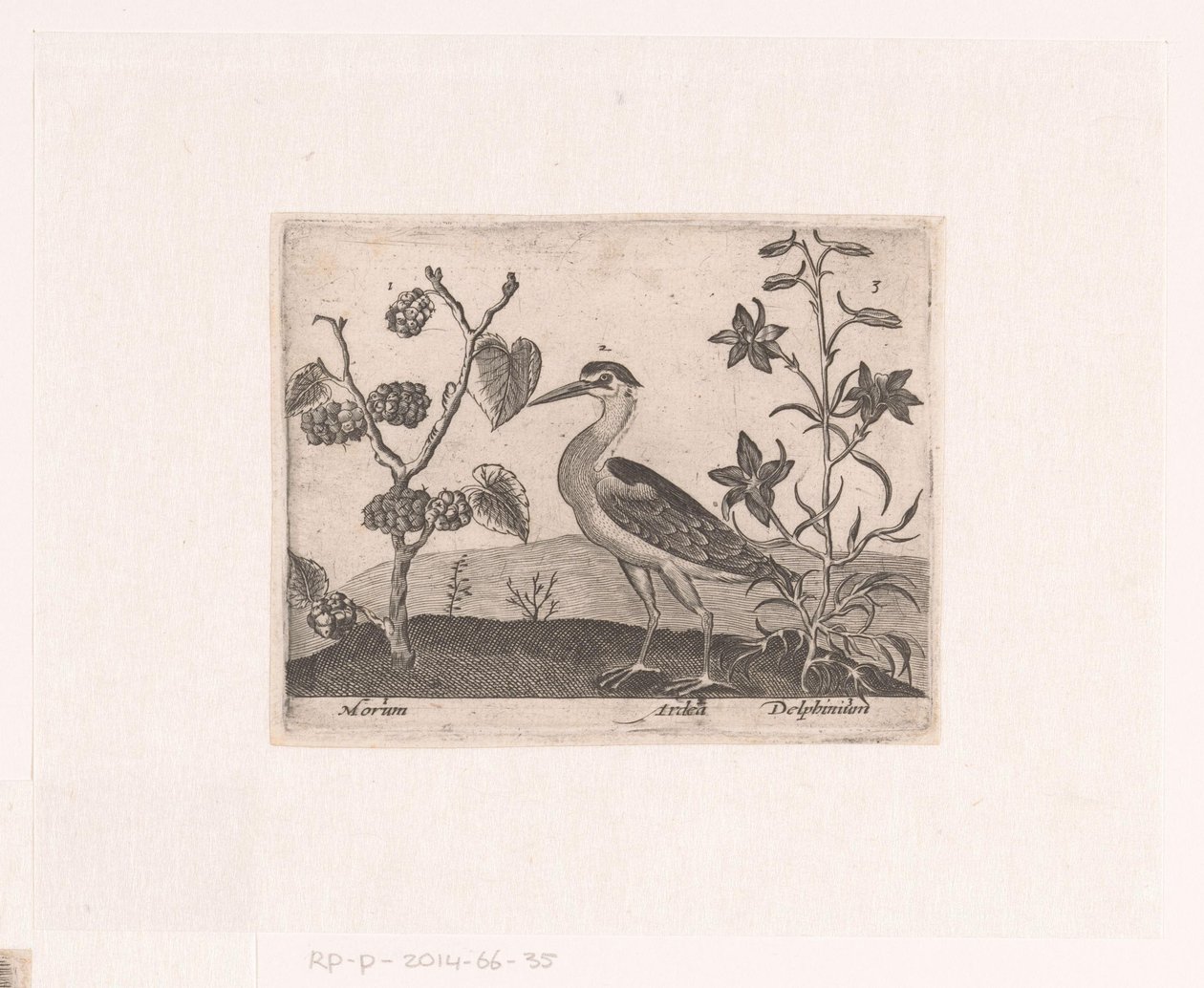 Serie med trykk med blomster og dyr i et landskap Landskap med hegre og lerkespore Landskap med dyr, planter og blomster (serietittel) av Johann Hogenberg