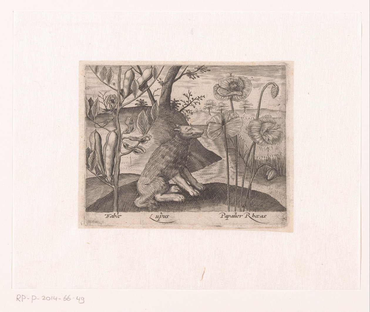 Serie med trykk med blomster og dyr i et landskap Landskap med ulv og planter Landskap med dyr, planter og blomster (serietittel) av Johann Hogenberg
