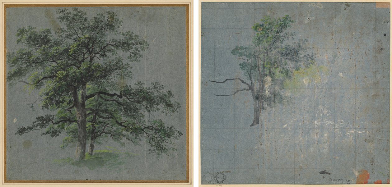 To trær (recto) Trestudier (verso) av Johann Jacob Dorner