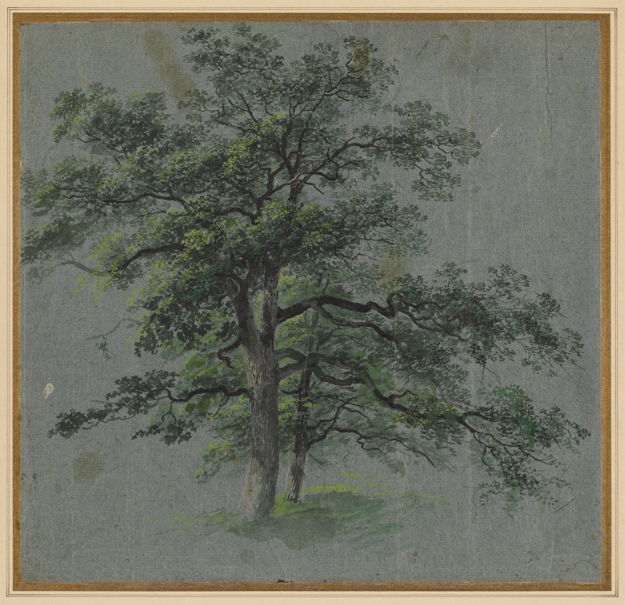 Two Trees recto Tree Studies verso, første halvdel av 1800-tallet. av Johann Jacob Dorner
