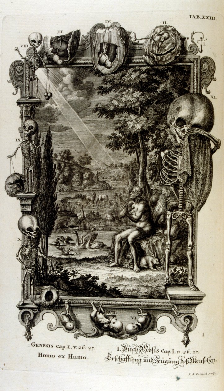 Kobberstikk fra 'Physica Sacra' av den sveitsiske lærde. Johann Jakob Scheuchzer av Johann Jakob Scheuchzer