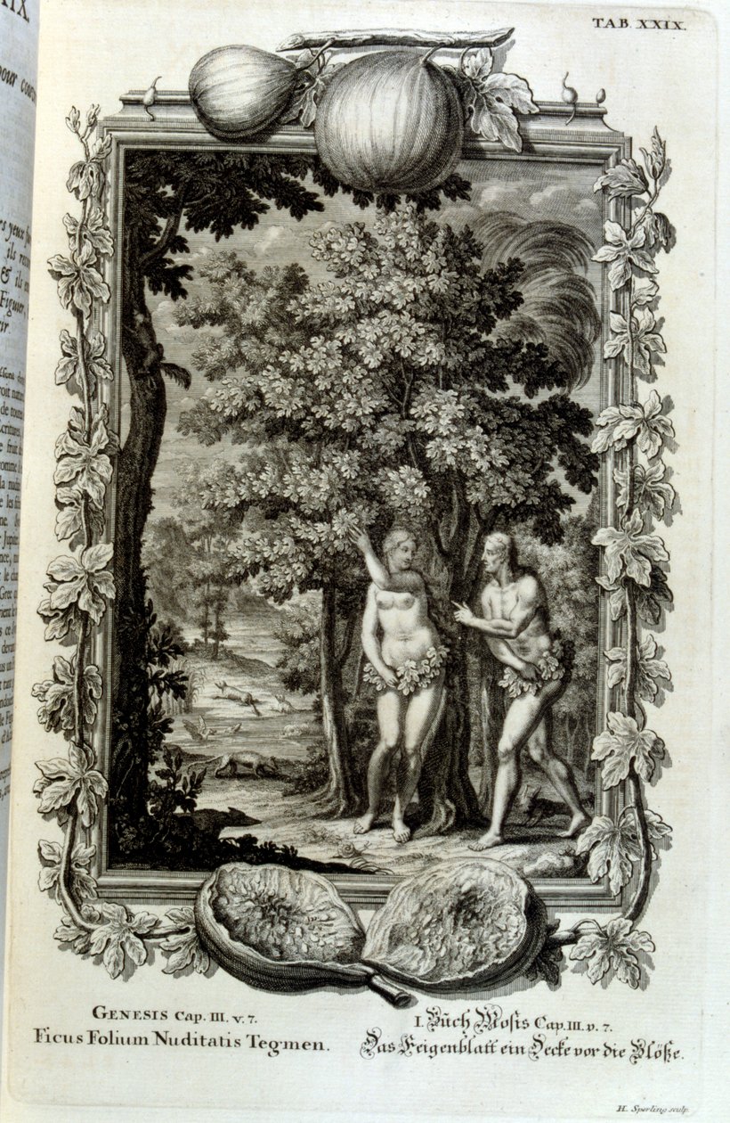 Kobberstikk fra 'Physica Sacra' av den sveitsiske lærde. Johann Jakob Scheuchzer av Johann Jakob Scheuchzer