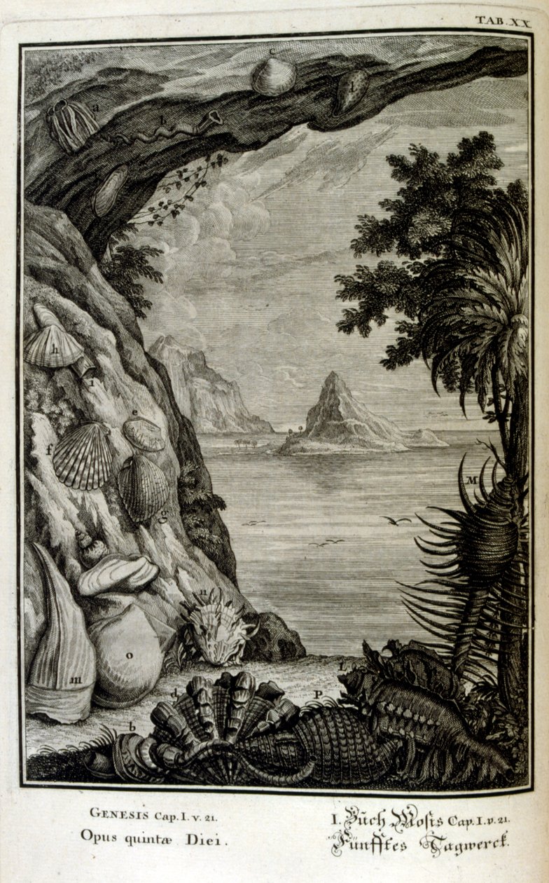 Kobberstikk fra 'Physica Sacra' av den sveitsiske lærde. Johann Jakob Scheuchzer av Johann Jakob Scheuchzer