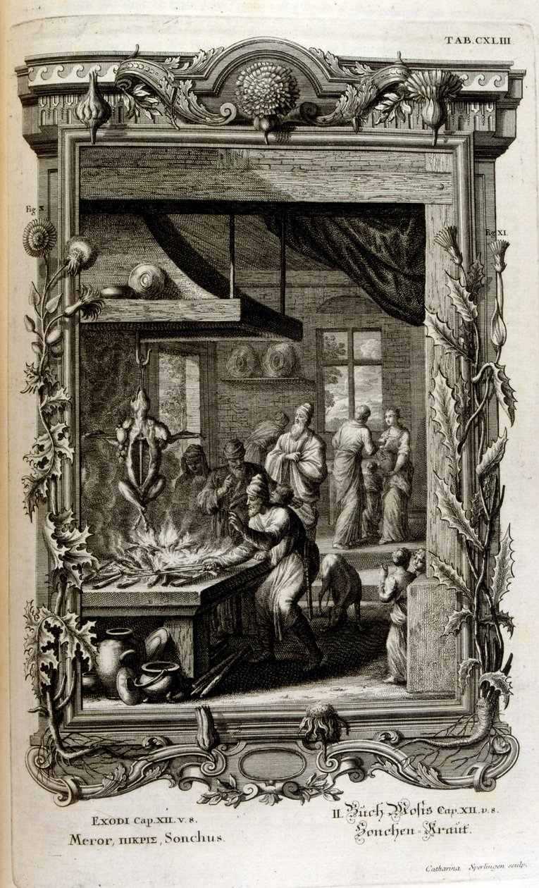 Illustrasjon fra Sacred Physics, eller Natural-History of the Bible av Johann Jakob Scheuchzer