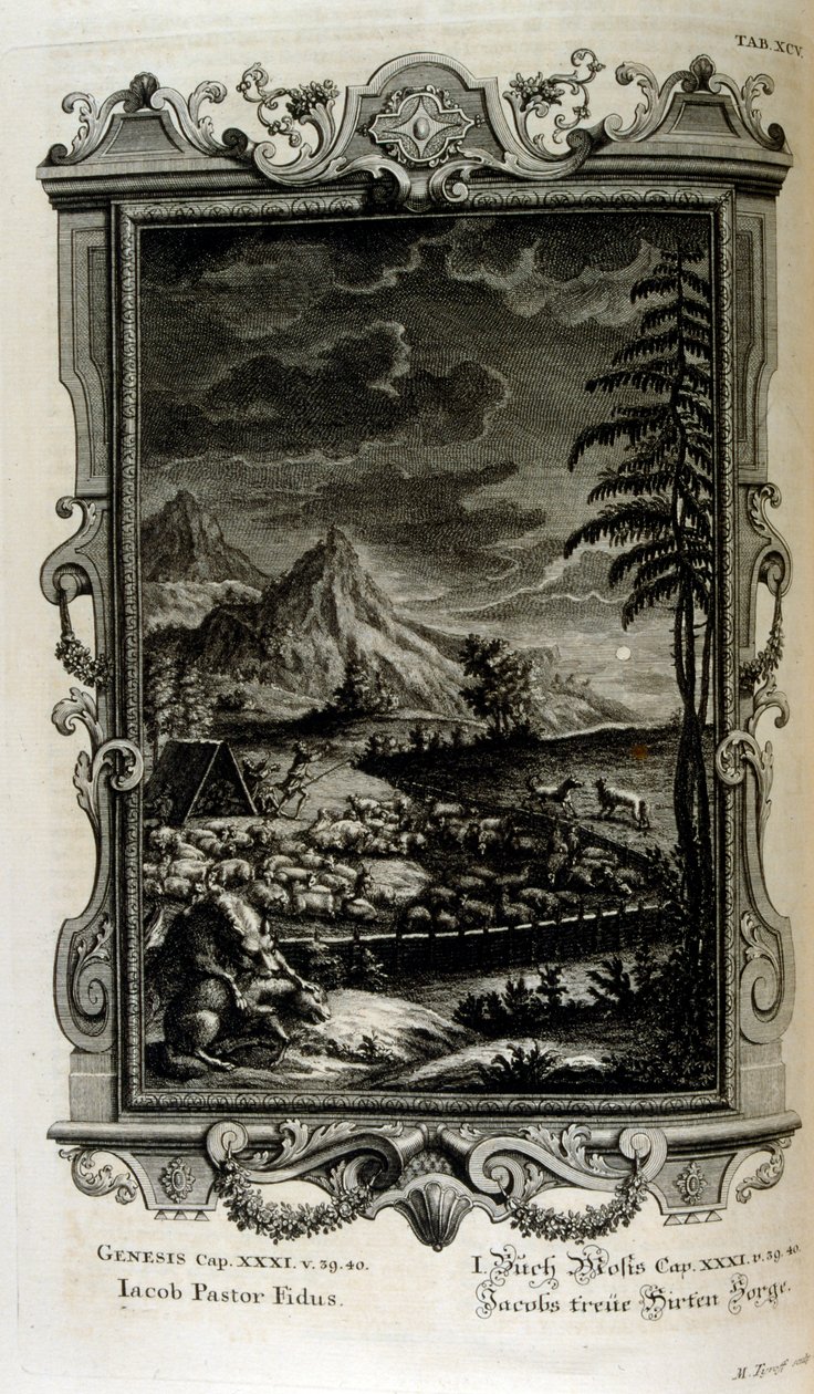 Jacobs felt av Johann Jakob Scheuchzer