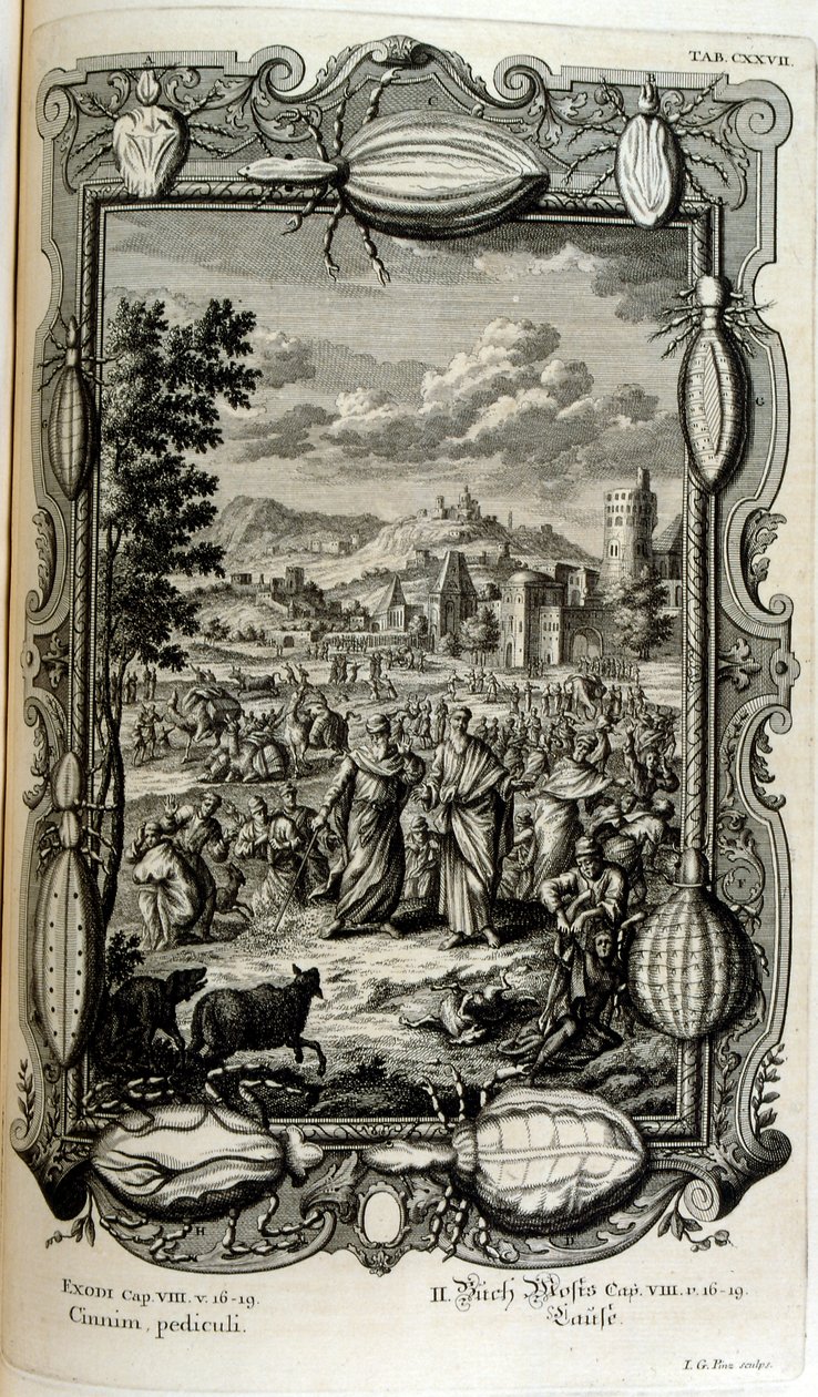 Pest av lus og mygg av Johann Jakob Scheuchzer