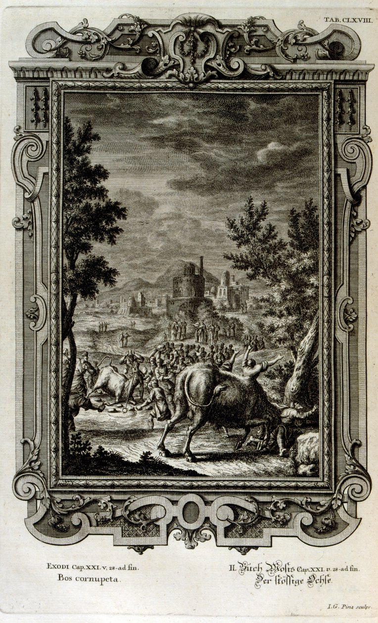Ofrer ville okser av Johann Jakob Scheuchzer