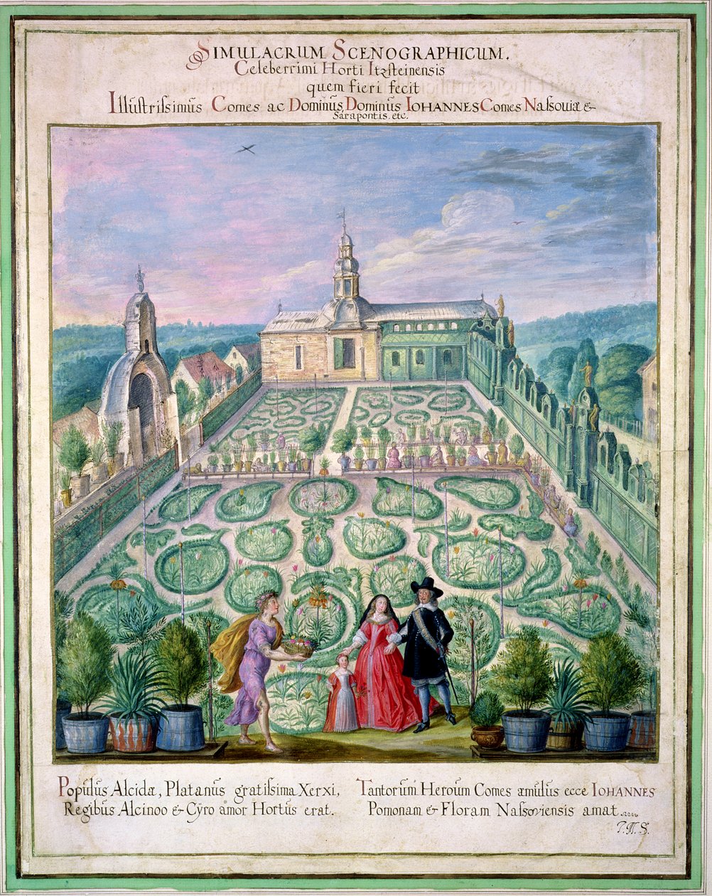 Dutch Garden, fra 'Nassau Florilegium', 1650 av Johann Jakob Walther