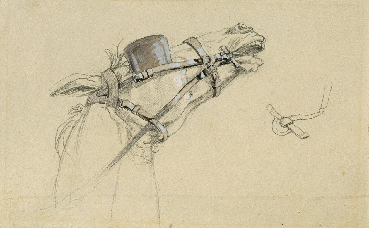 Studie av et hestehode for "Return of Emperor Franz from Pressburg" av Johann Peter Krafft