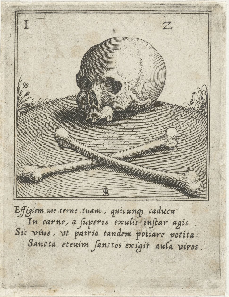 Vanitas-skildring med en hodeskalle og to bein av Johann Sadeler (I)