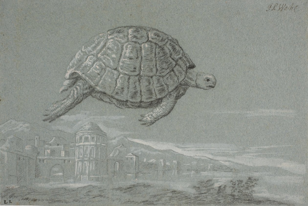 Studie av en skilpadde og utsikter til en befestet by ved sjøen (Venezia) av Johann Salomon Wahl