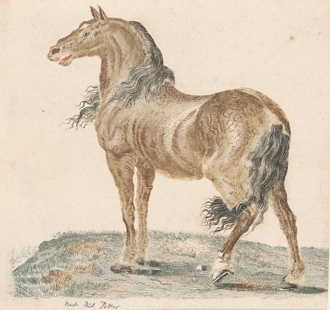 Nabohesten av Johann Teyler, after Paulus Potter