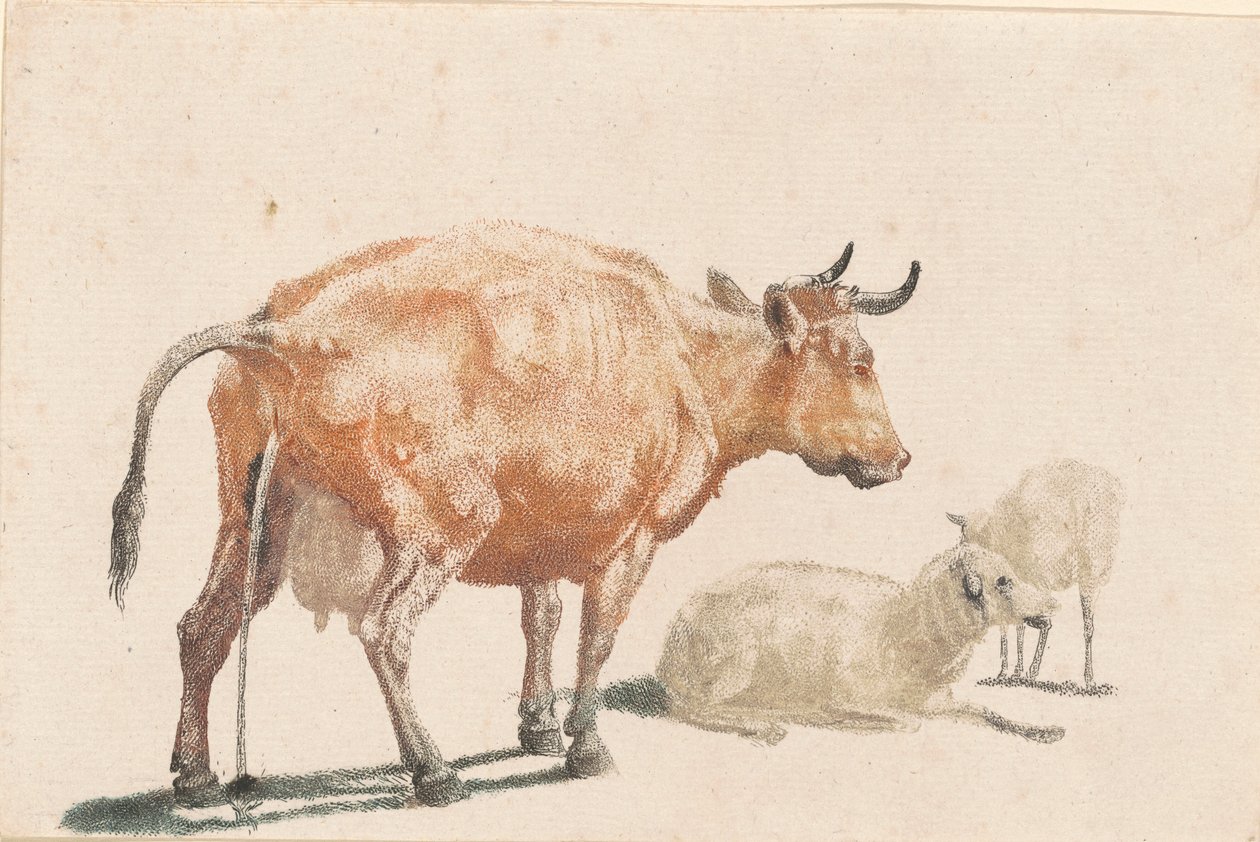 Den pissekua av Johann Teyler, after Paulus Potter