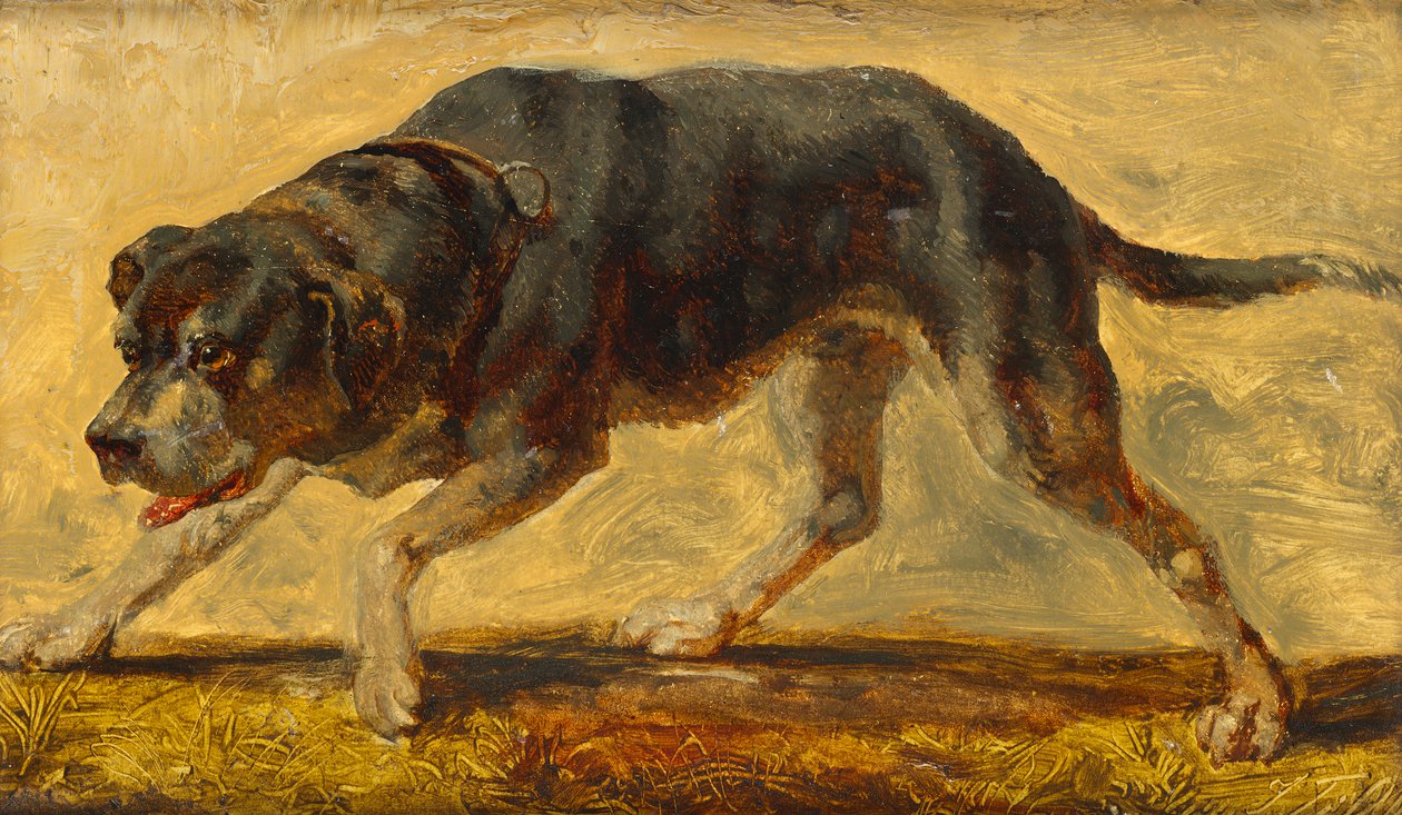 hundestudie av Johann  Till der Jüngere