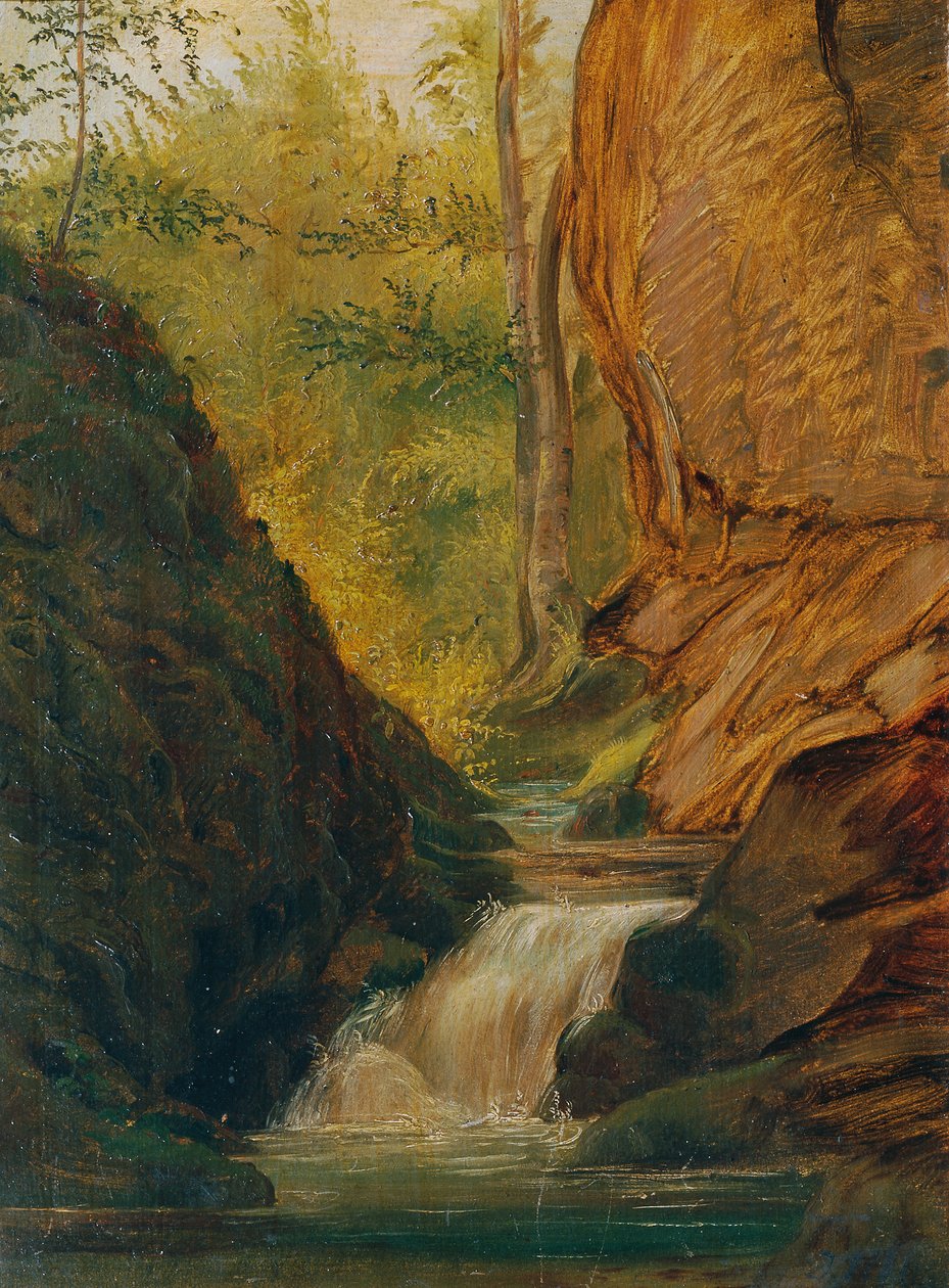 Waldbach av Johann  Till der Jüngere