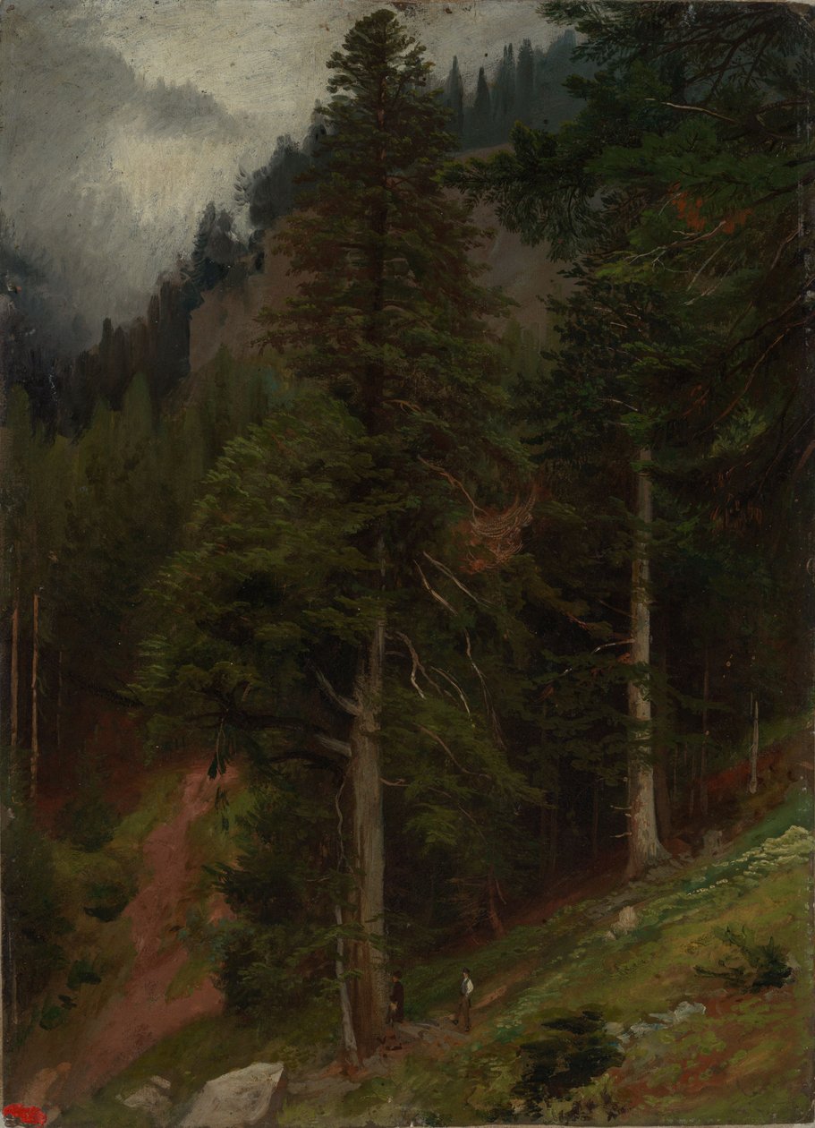 Skråning i granskog av Johann Wilhelm Schirmer