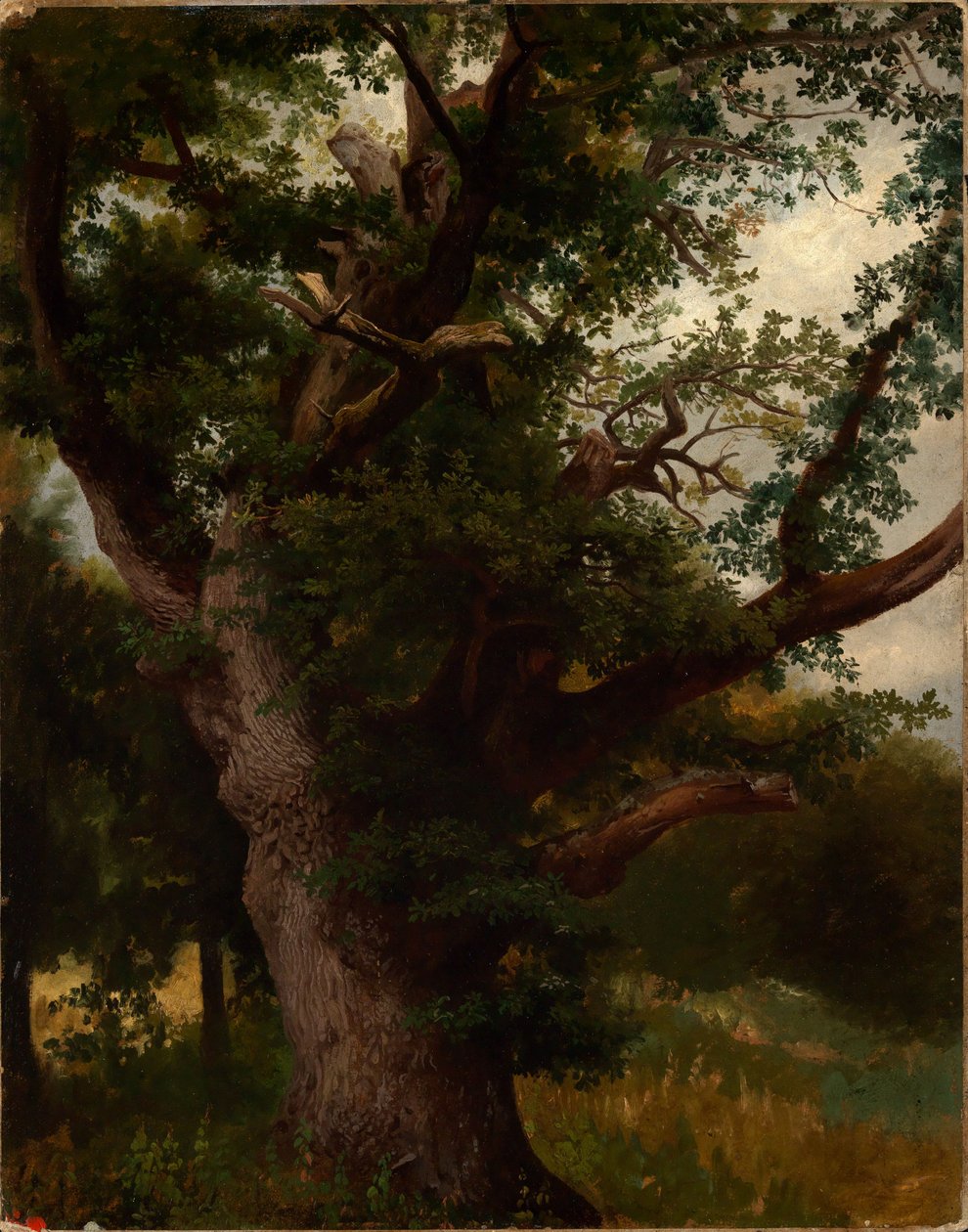 Eik av Johann Wilhelm Schirmer