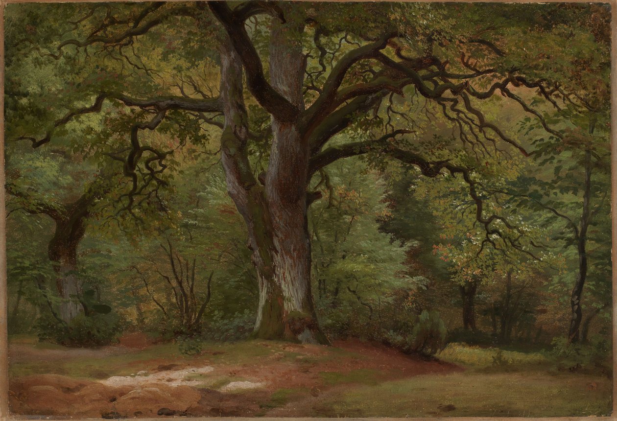 Eikeskog i Solling av Johann Wilhelm Schirmer