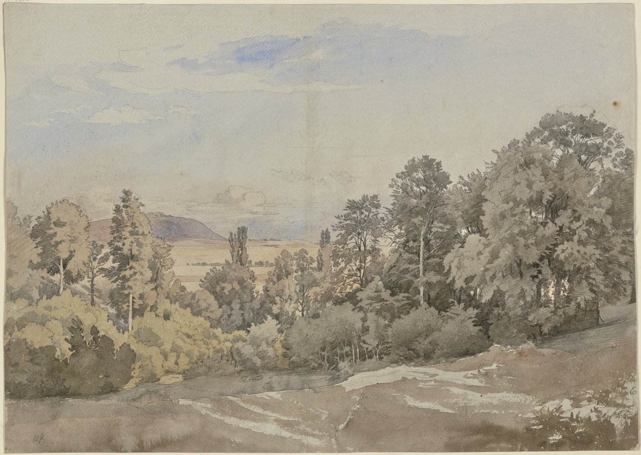 Skog med utsikt i det fjerne av Johann Wilhelm Schirmer