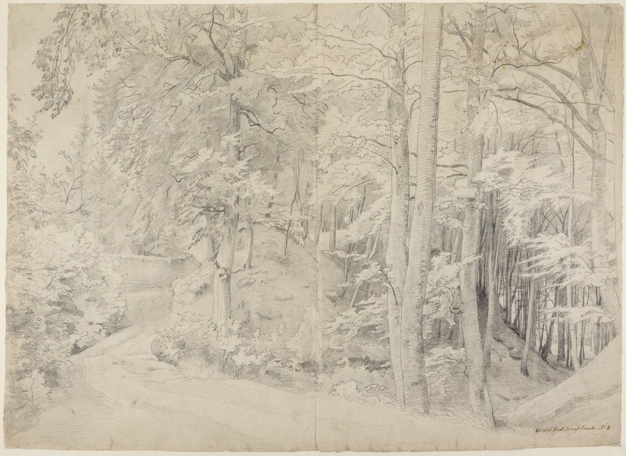 I bøkeskogen av Johann Wilhelm Schirmer
