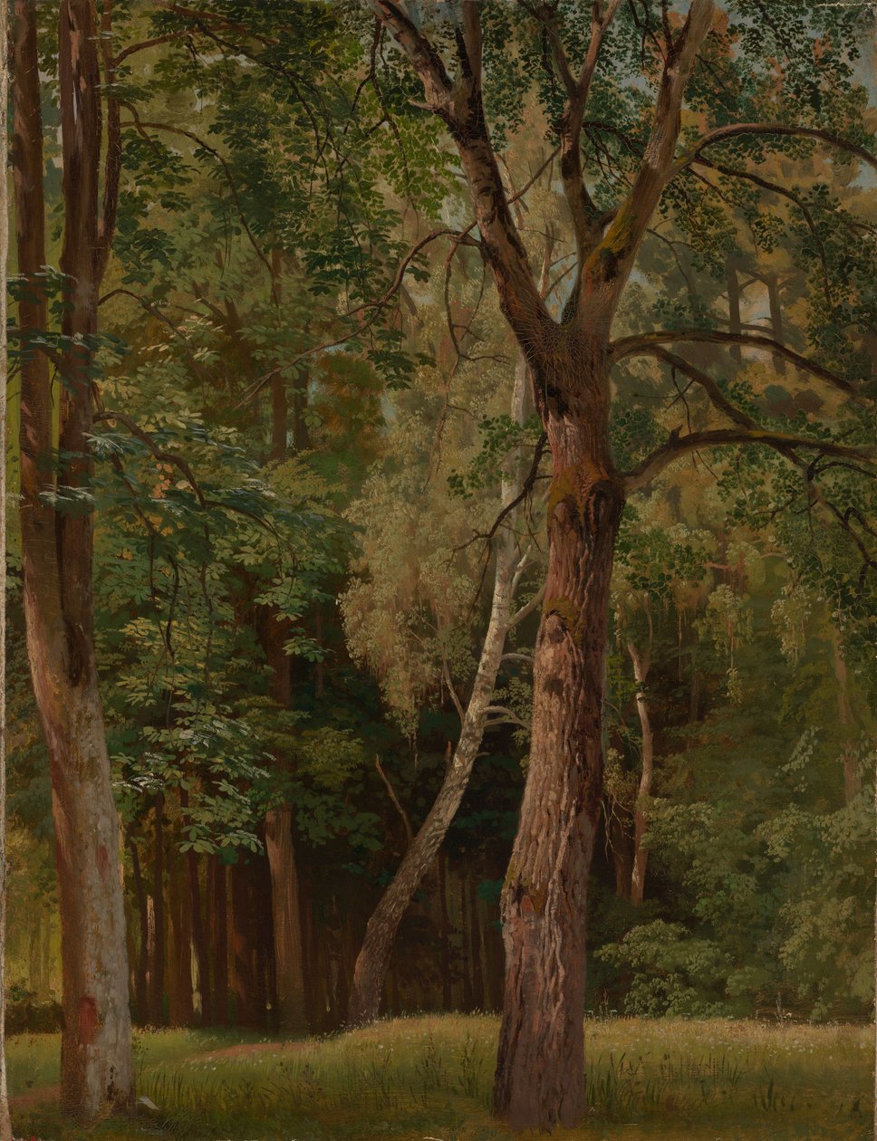 Løvskog med kastanjetrær og bjørketrær av Johann Wilhelm Schirmer