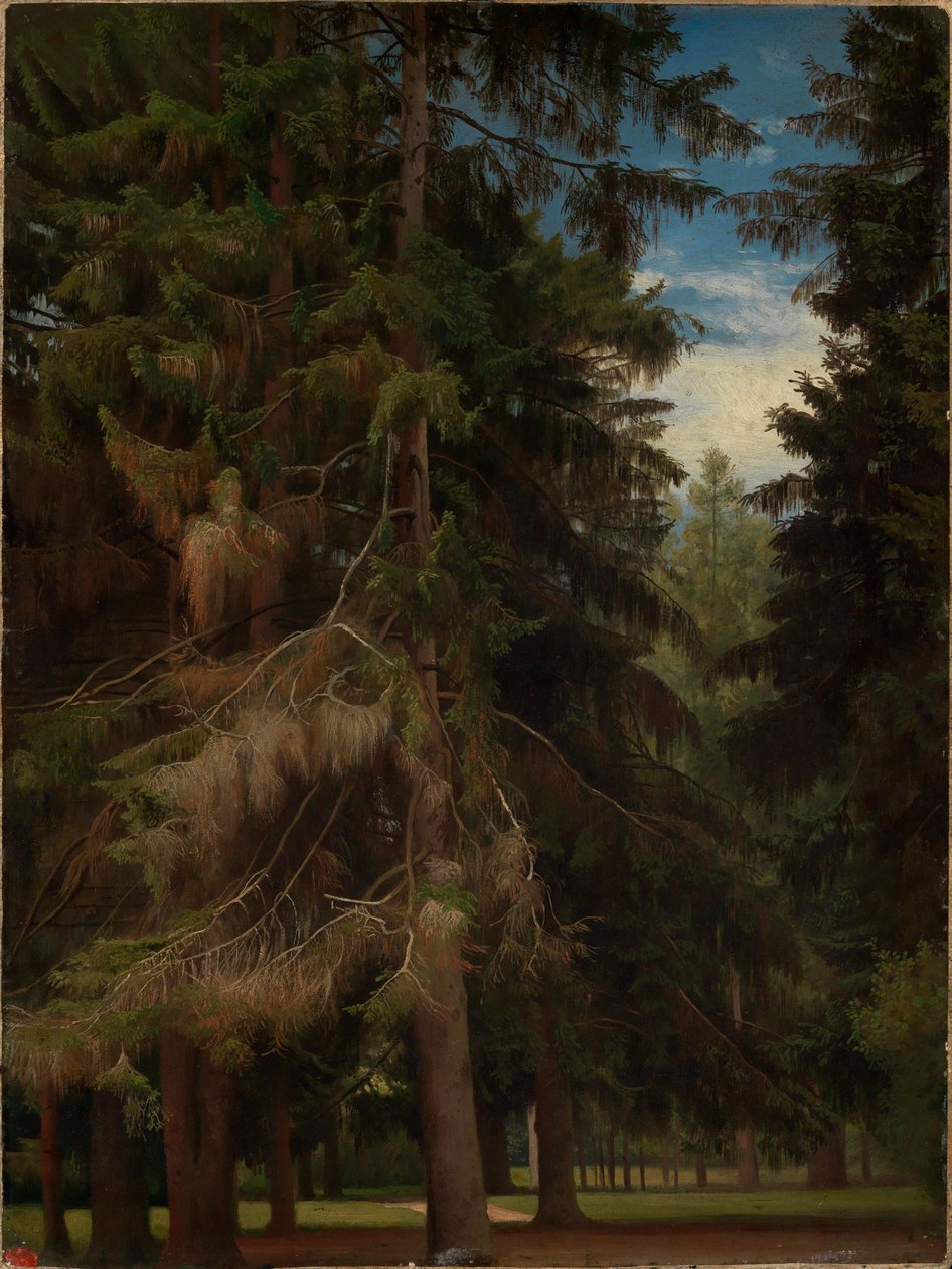 Lysning i granskogen av Johann Wilhelm Schirmer