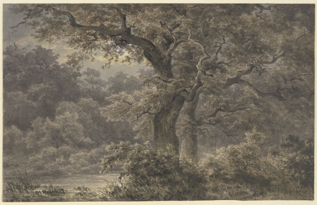 Eiketrær i skogen av Johann Wilhelm Schirmer