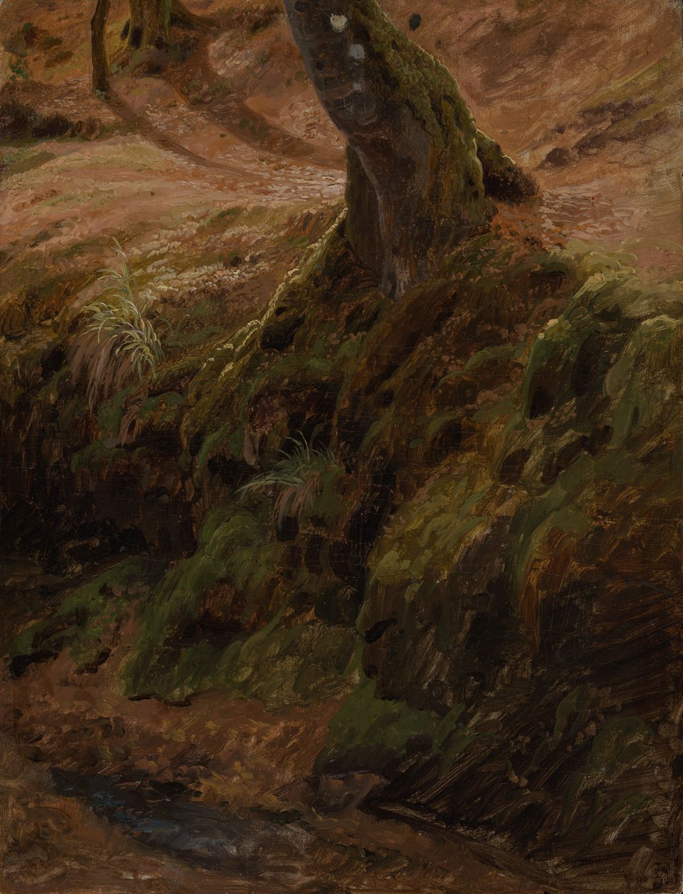 Skogskråning med trestamme av Johann Wilhelm Schirmer
