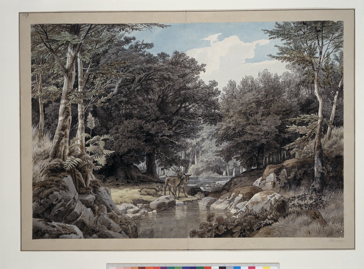 Skoginteriør med hjort ved vannet av Johann Wilhelm Schirmer