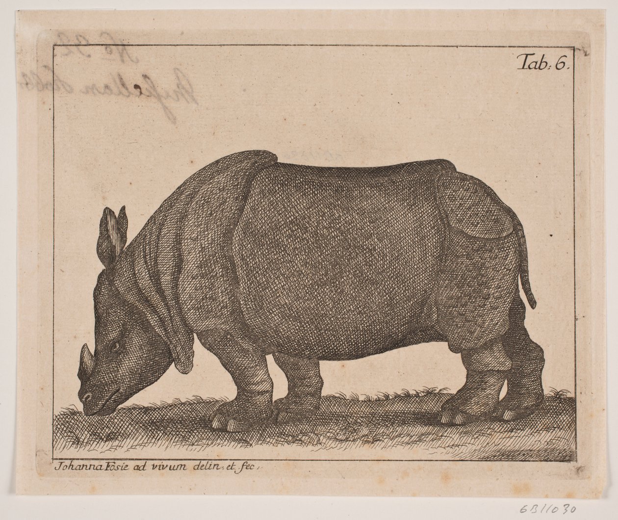 Et neshorn av Johanna Fosie