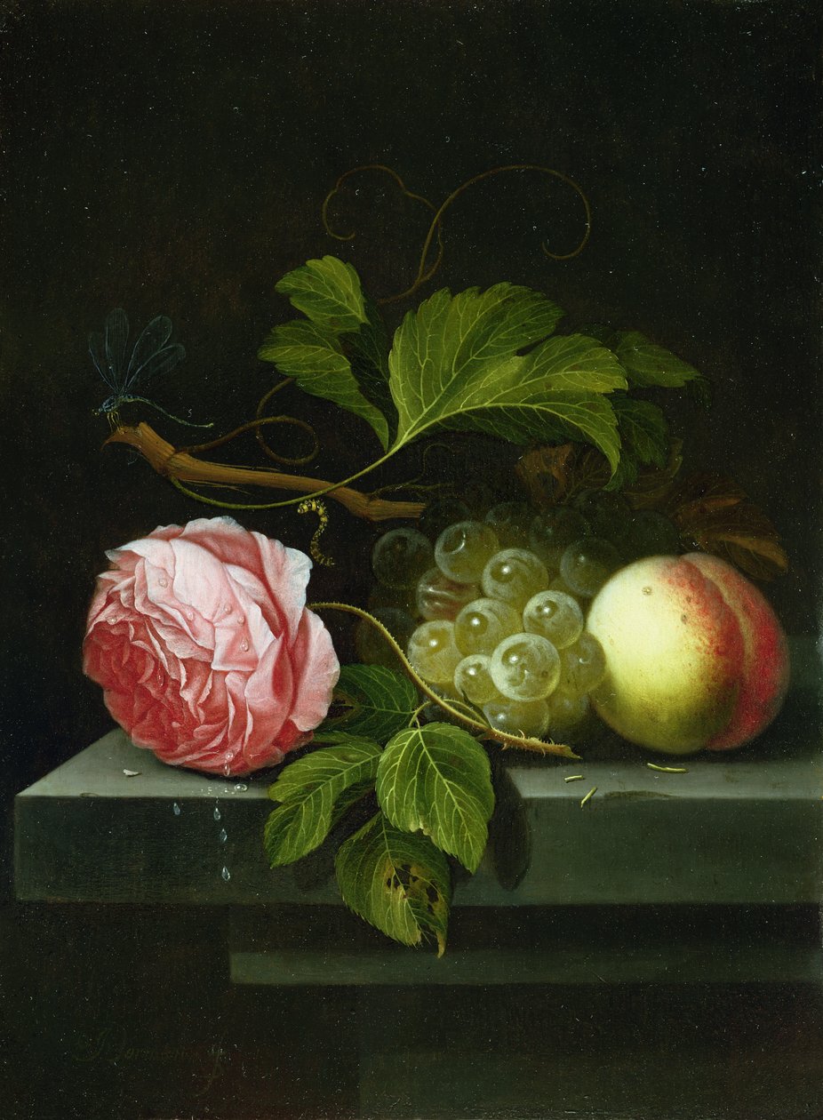 Et stilleben med en rose, druer og fersken, 1600-tallet av Johannes Borman