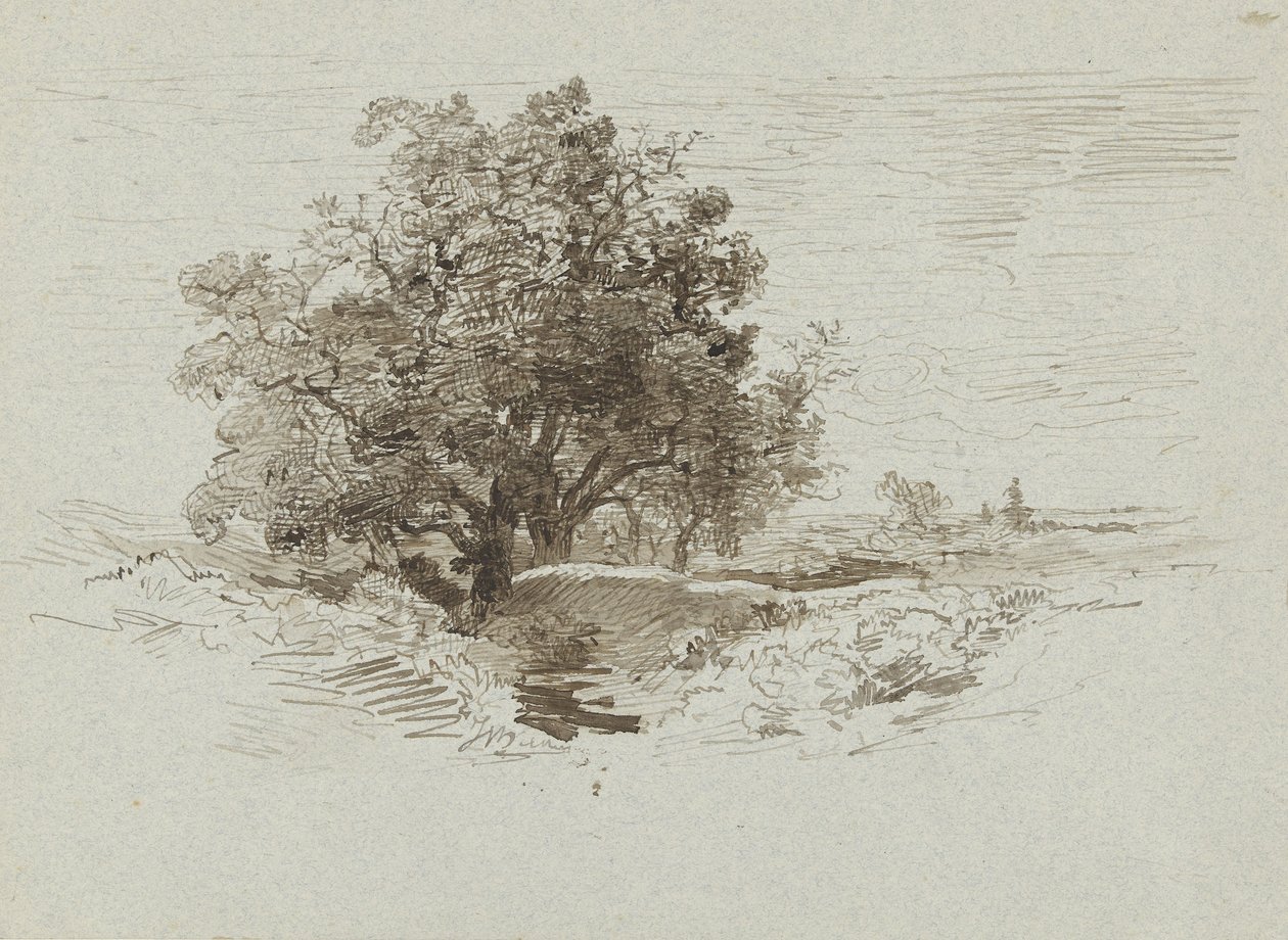 Group of Oaks nær Wolfheze, Nederland av Johannes Warnardus Bilders