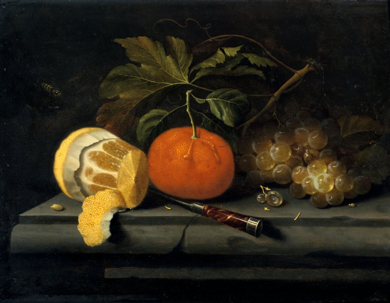 Frukt på en borddekking av stein, c1653-1659 av Johannes Borman