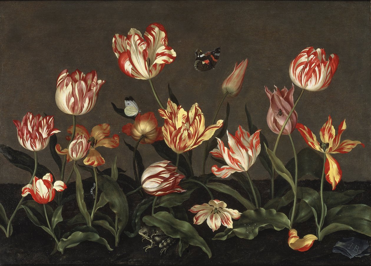 Nature morte avec des tulipes - Stilleben med tulipaner, av Bosschaert, Johannes (ca. 1610-ca. 1650). Olje på tre. Mål: 46x64 cm. Nationalmuseum Stockholm av Johannes Bosschaert