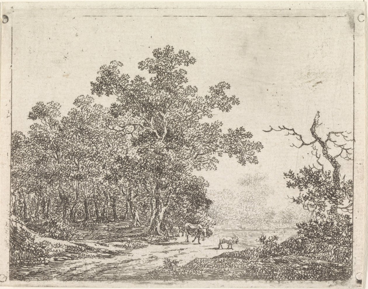 Landskap med eik og storfe av Johannes Christiaan Janson