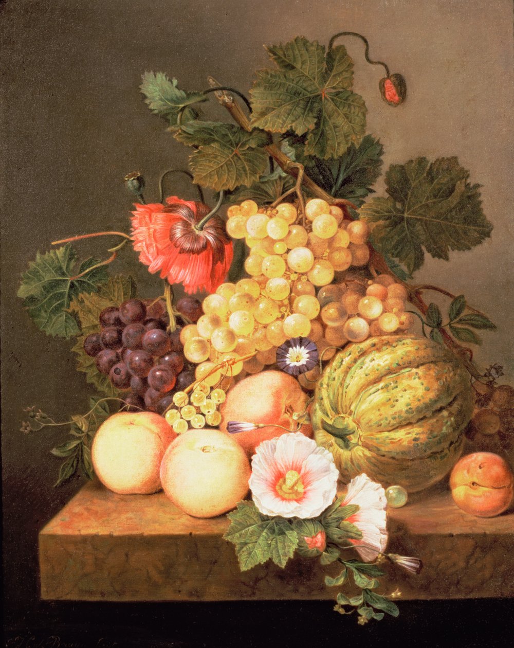 Stilleben med frukt av Johannes Cornelis Bruyn