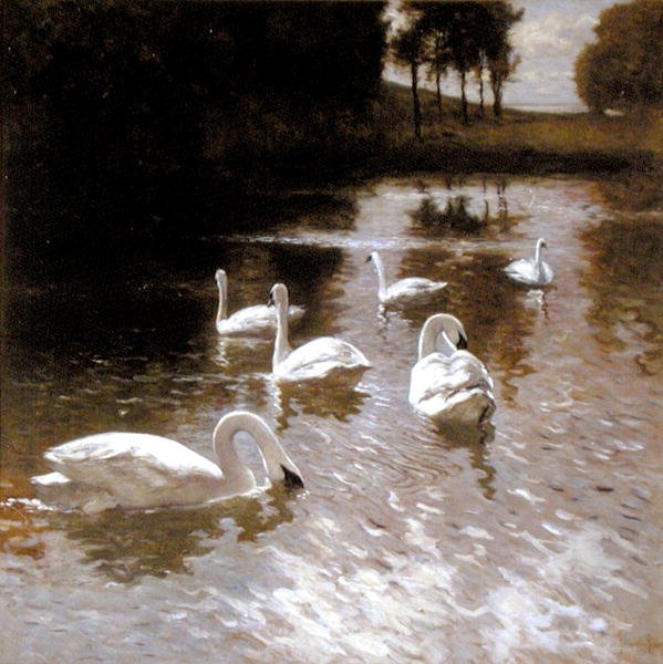 Swans on a lake, ca. 1890 (olje på lerret) av Johannes Cornelis van Essen