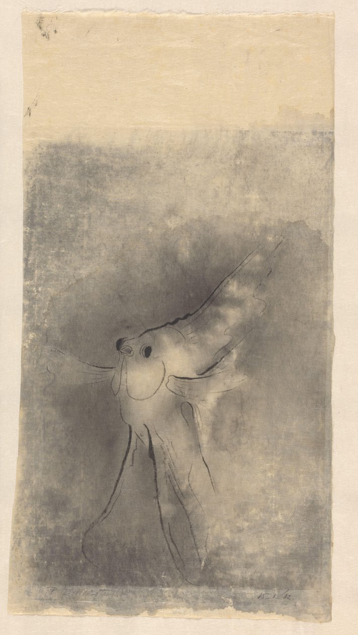 solfisk av Johannes Frederik Engelbert ten Klooster (signed by artist)