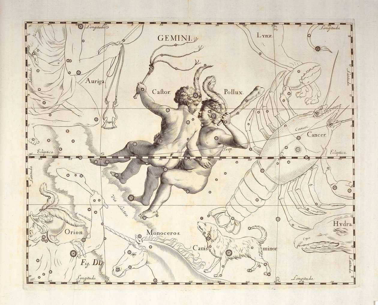 Gemini-konstellasjon av Gemini, gravering fra himmelatlas Firmamentum Sobiescianum sive Uronographia, av Johann Hevelius (1611-1687), Gdansk av Johannes Hevelius