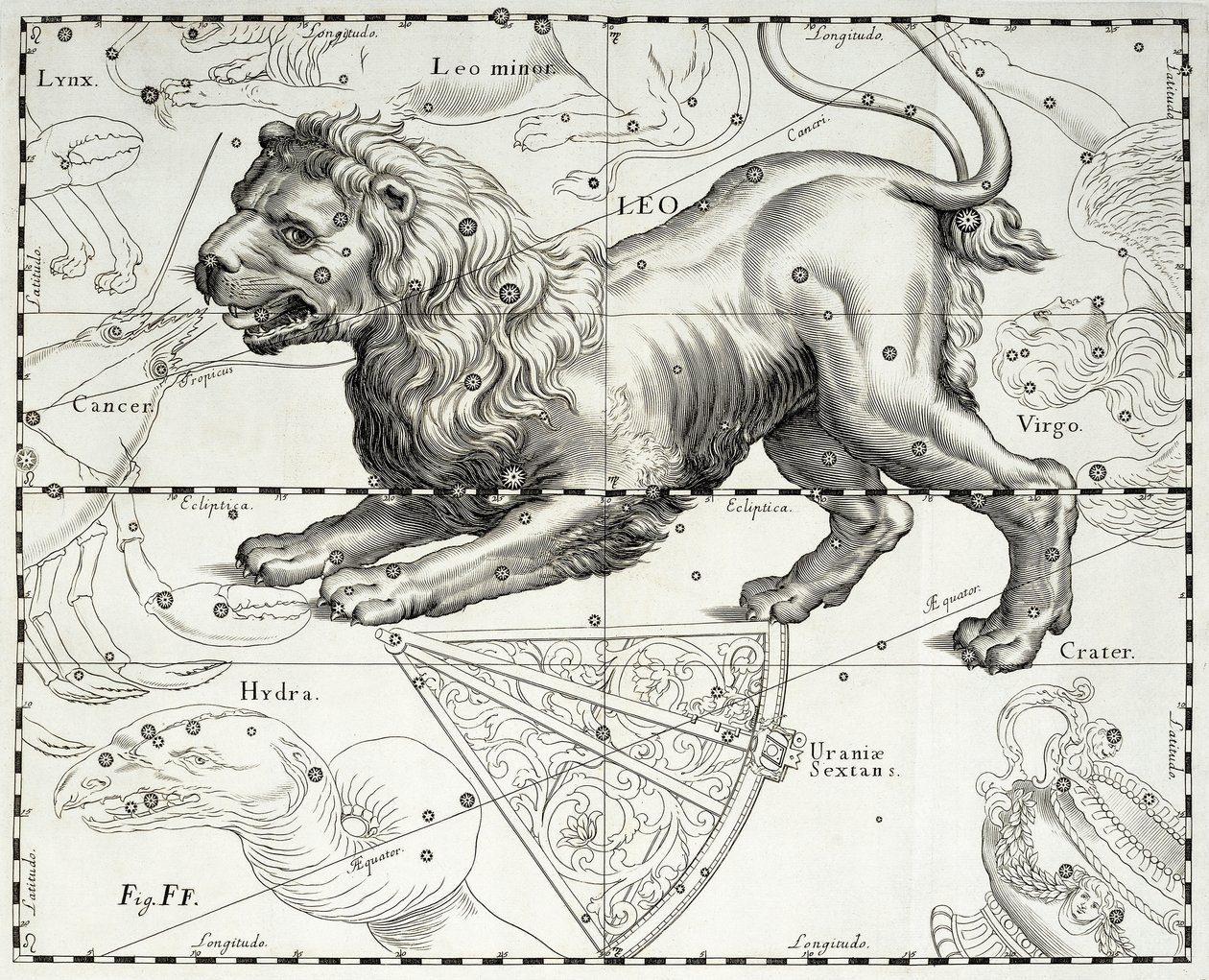 Løven, stjernekonstellasjonen Lion, illustrasjon hentet fra Johann Hevelius (1611-1687) stjerneatlas Firmamentum Sobiescianum sive Uranographia, Gdansk av Johannes Hevelius