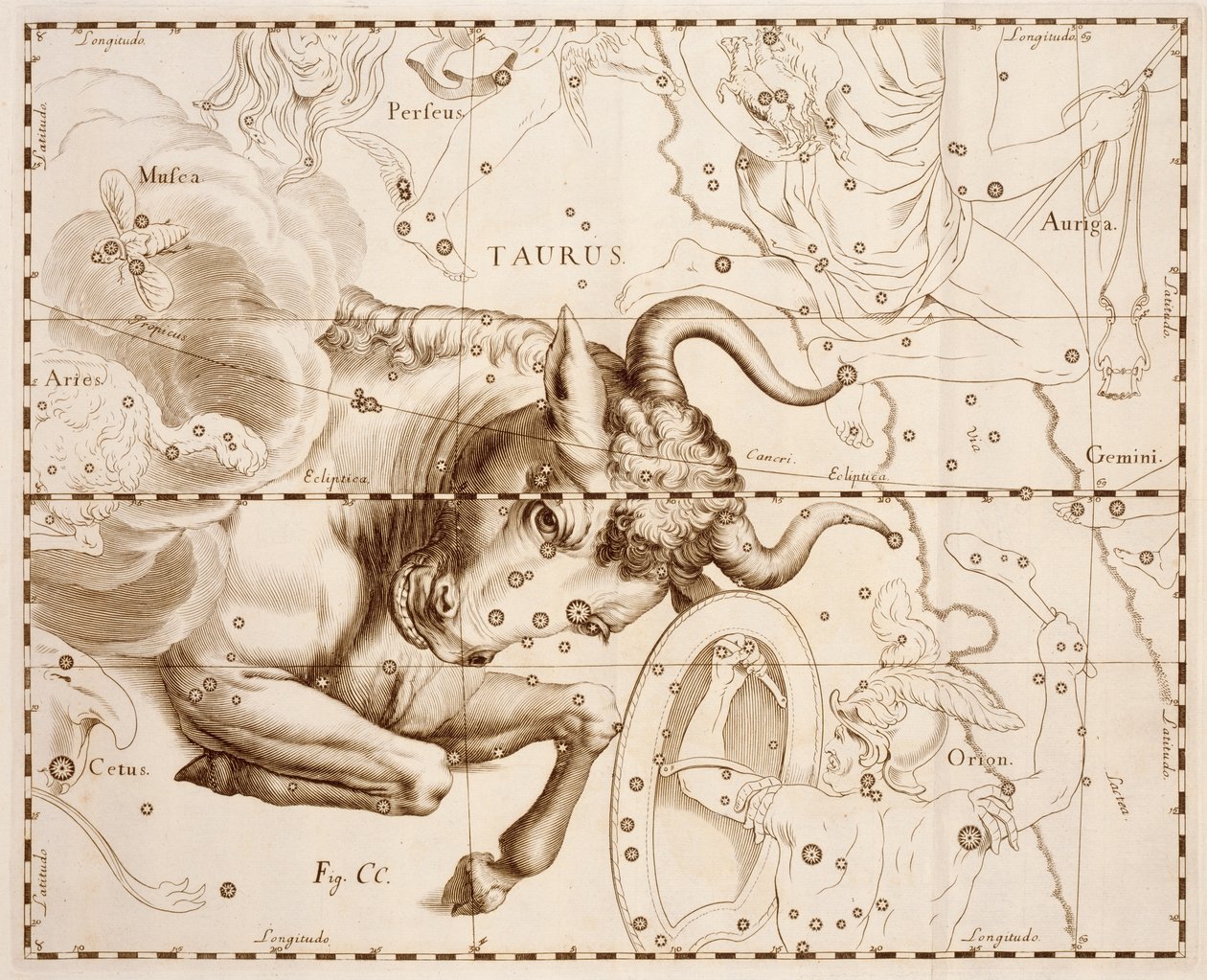 Tyren (stjernetegn), gravering fra Firmamentum Sobiescianum sive Uranographia, komplett stjernekatalog, av Johann Hevelius (1611-1687), trykt i Gdansk av Johannes Hevelius