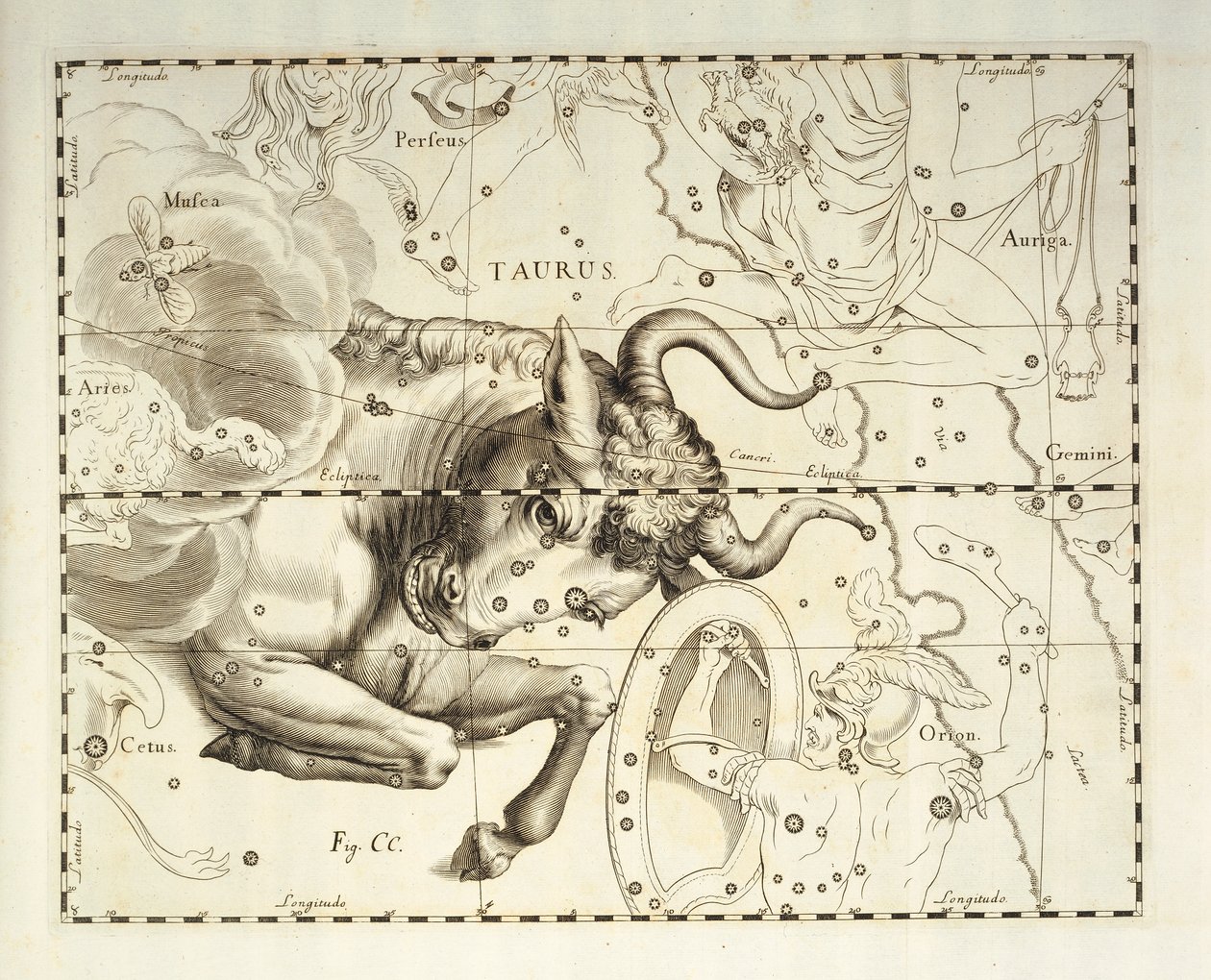 Tyren, stjernebildet Tyren, gravering fra himmelatlas Firmamentum Sobiescianum sive Uronographia, av Johann Hevelius (1611-1687), Gdansk av Johannes Hevelius