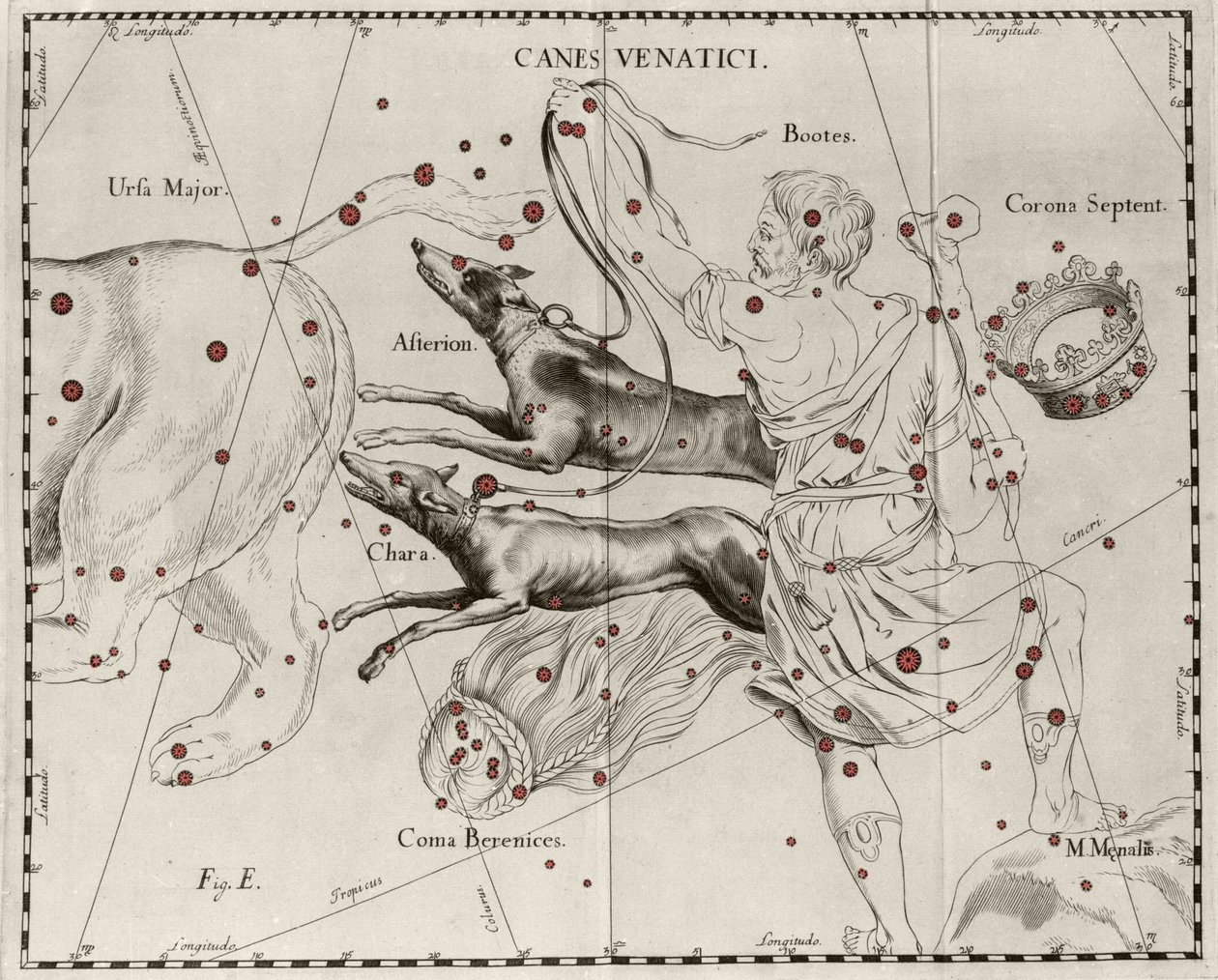 Stjernebildet Canes Venatici, Jakthunder. Plate tegnet fra "" Firmamentum Sobiescanum sive Uranographia"" av Johannes Hevelius eller Hevel (1611-1687) av Johannes Hevelius