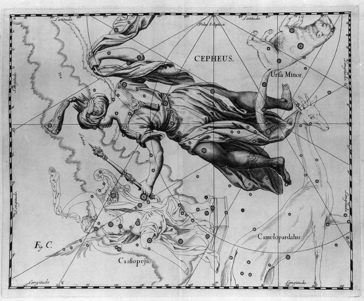 Konstellasjonen Cepheus (eller Cephee), konge av Etiopia. Plate tegnet fra "" Firmamentum Sobiescanum sive Uranographia"" av Johannes Hevelius eller Hevel (1611-1687) av Johannes Hevelius