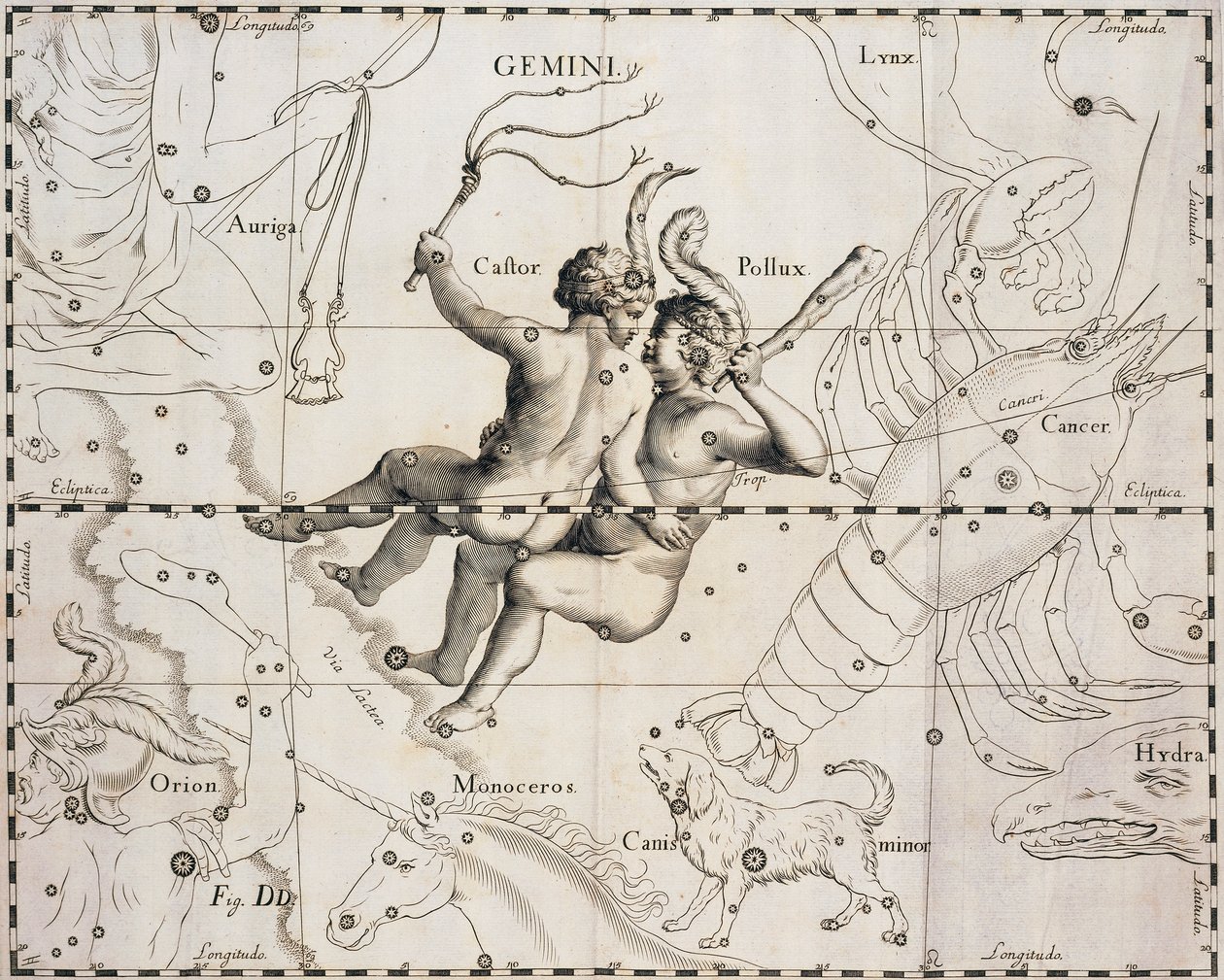 Konstellasjonen Tvillingene, illustrasjon fra Firmamentum Sobiescianum sive Uranographia, av Johann Hevelius (1611-1687), Gdansk 1690 av Johannes Hevelius