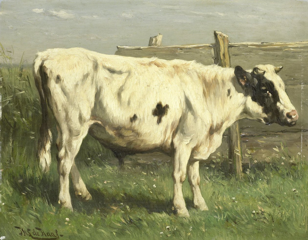 Ung okse av Johannes Hubertus Leonardus de Haas