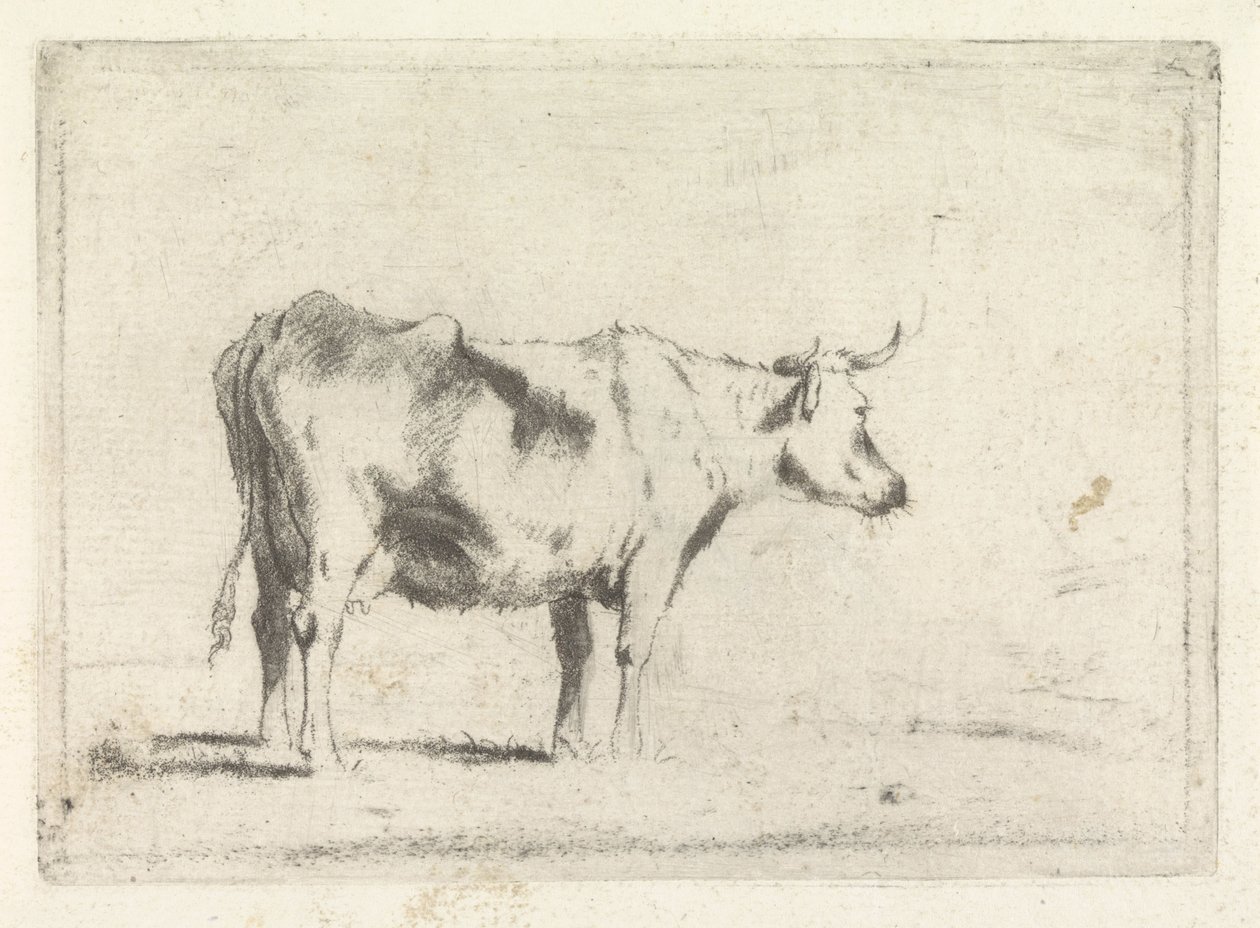 Ku, til høyre av Johannes Janson (possibly)